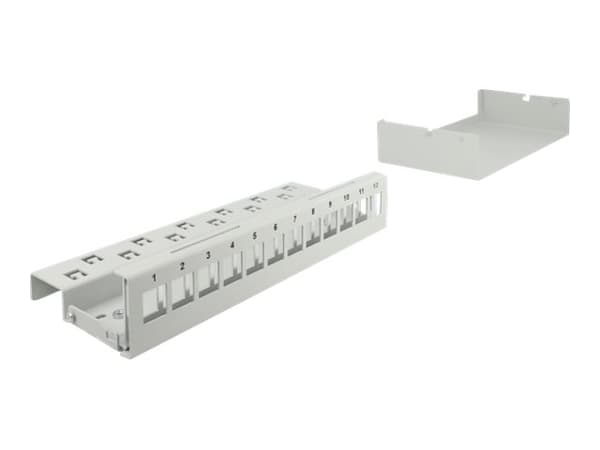 Delock - Blank keystone-patchpanel - väggmontering, kan monteras på DIN-skena - grå - 12 portar Grå