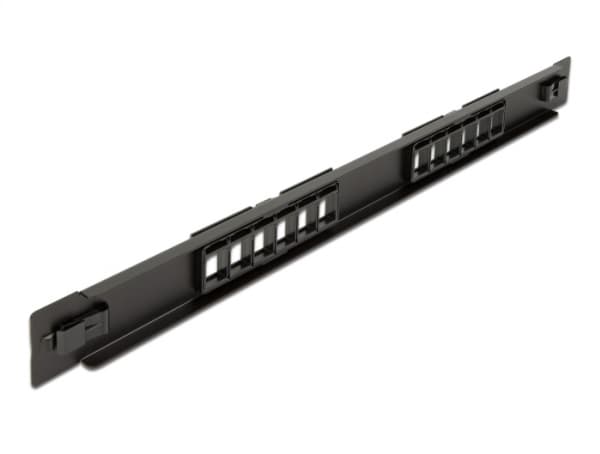 Delock - Pluggbord (blankt) - rackmonterbar - svart - 1U - 19" - 12 porter