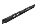 Miniatyrbilde 2 av 4: Delock - Pluggbord (blankt) - rackmonterbar - svart - 1U - 19" - 12 porter