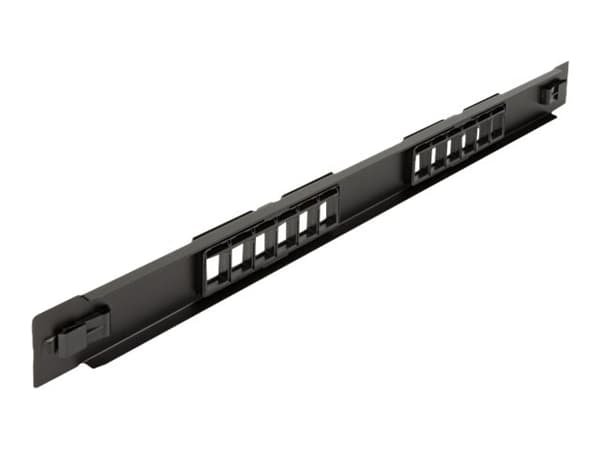 Delock - Pluggbord (blankt) - rackmonterbar - svart - 1U - 19" - 12 porter