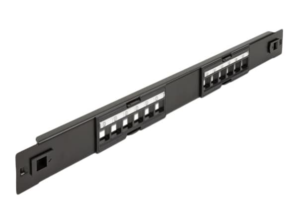 Delock - Pluggbord (blankt) - rackmonterbar - svart - 1U - 19" - 12 porter Sort