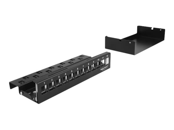 Delock - Blankt Keystone pluggbord - veggmonterbar, DIN-skinnemonterbar - svart - 12 porter