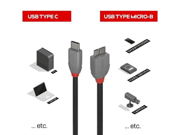 Lindy 36622, 2 m, USB C, Micro-USB B, USB 3.2 Gen 1 (3.1 Gen 1), 500 Mbit/s, Sort