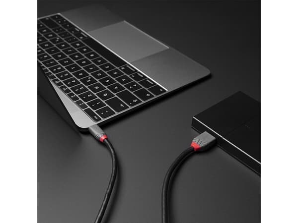 Lindy 36622, 2 m, USB C, Micro-USB B, USB 3.2 Gen 1 (3.1 Gen 1), 500 Mbit/s, Sort