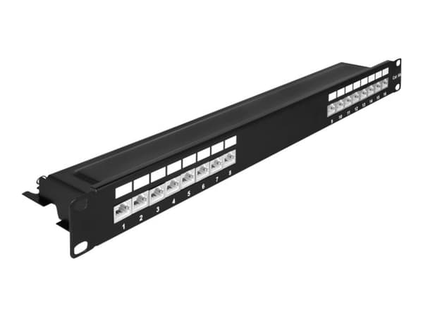 DeLOCK 66876, Cat6a, Musta, Metalli, 1U, 482,6 mm, 100 mm musta