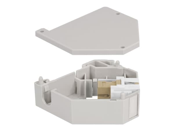 Delock - Modulinnlegg - DIN-skinnemonterbar - SC - grå, hvit, beige