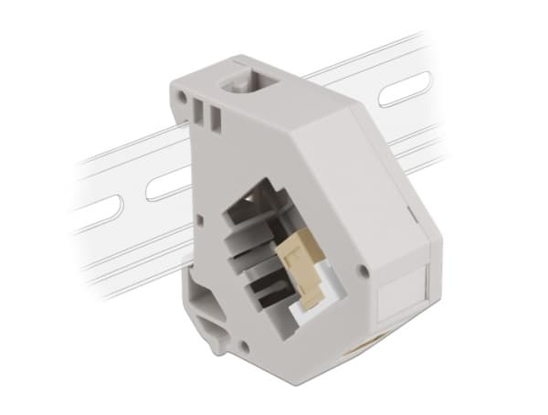 Delock - Modulinnlegg - DIN-skinnemonterbar - SC - grå, hvit, beige