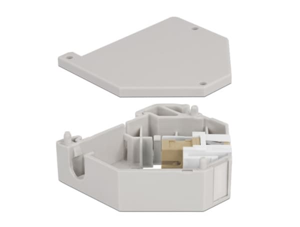 Delock - Modulinnlegg - DIN-skinnemonterbar - SC - grå, hvit, beige