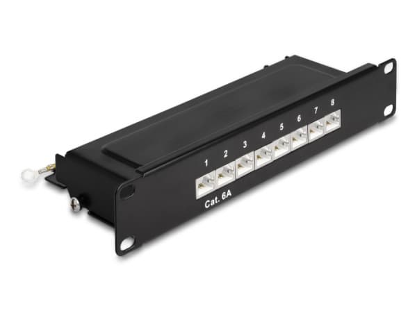 DeLOCK 66872, Cat6a, Musta, Metalli, 1U, 254 mm, 100 mm