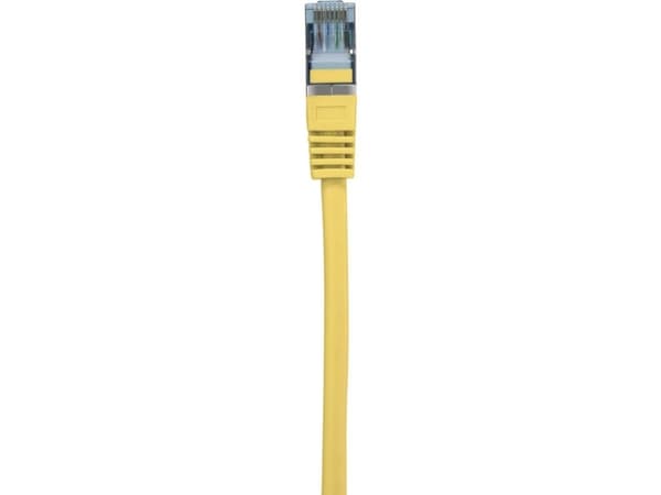 Renkforce RF-5224650, 1 m, Cat6a, S/FTP (S-STP), RJ-45, RJ-45