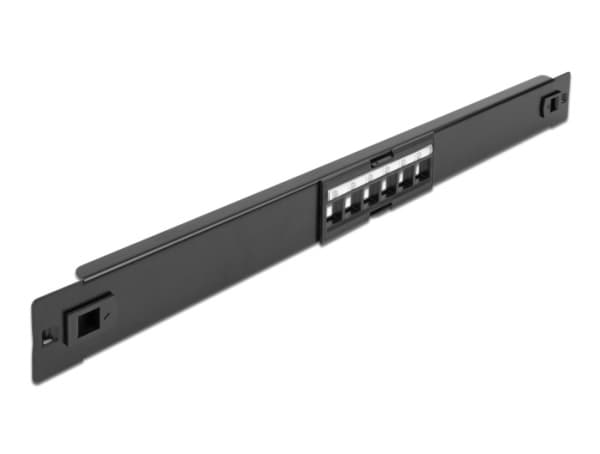 Delock - Pluggbord (blankt) - rackmonterbar - svart - 1U - 19" - 6 porter