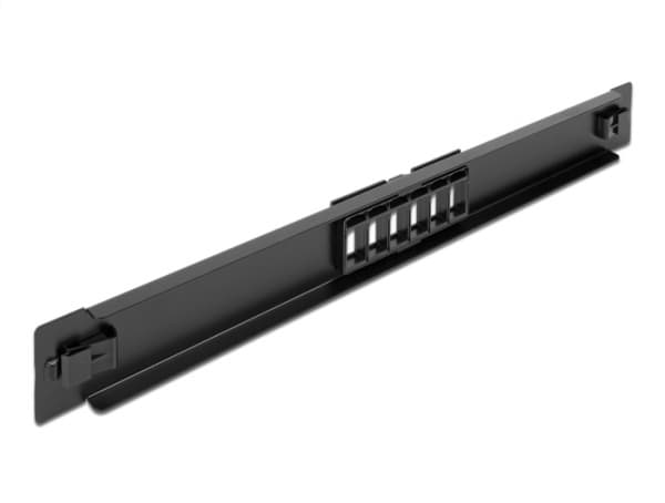 Delock - Pluggbord (blankt) - rackmonterbar - svart - 1U - 19" - 6 porter