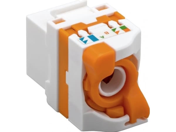 Techly IWP-MD C6/UROTT, Vit, Honkoppling, U/UTP (UTP), 14,5 mm, 30,1 mm, 16 mm