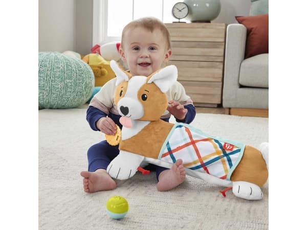 Fisher-Price 3-i-1 Valpmagkudde, 0 År, Tyg, Plast, Multifärg