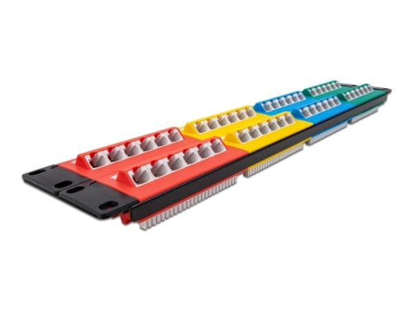 Delock - Koblingspanel - skapmonterbar - CAT 5e - RJ-45 X 48 - blå, gul, rød, grønn - 2U - 19"