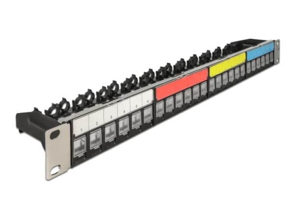 Delock - Svart dekkstein patchpanel - skapmonterbar - svart - 1U - 19" - 24 porter