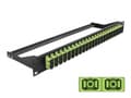 Miniatyrbilde 2 av 2: Delock - Koblingspanel - rackmonterbar - SC Duplex MM X 24 - svart, limegrønn - 1U - 19"