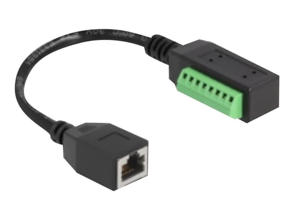 Delock - Nettverksadapter - 8-pins terminalblokk (hann) til RJ-45 (hunn) - 21.5 cm - UTP - CAT 5e - svart