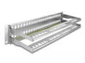 Miniatyrbilde 2 av 5: Delock - Pluggbord (blankt) - with strain reliefs - rackmonterbar - grå - 2U - 19" - 48 porter