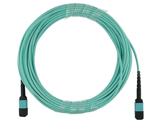 BlueOptics SFP5252EU40MKB, 40 m, OM3, MPO, MPO, MPO