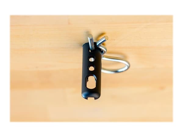 Heckler PivotTack - Anti theft pin