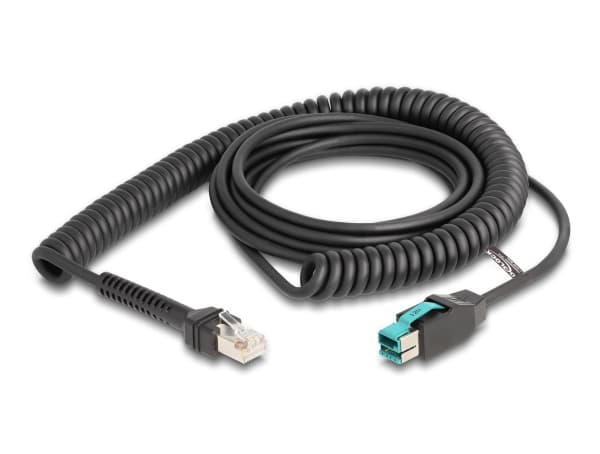 Delock - USB-kabel - USB PlusPower (han) til RJ-50 (han) - USB 2.0 - 12 V - 3 m - snoet - sort