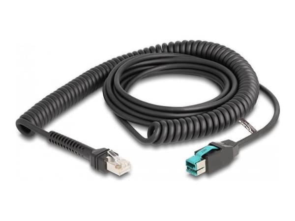 Delock - USB-kabel - USB PlusPower (han) til RJ-50 (han) - USB 2.0 - 12 V - 3 m - snoet - sort