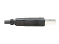 Miniatyrbilde 1 av 5: Eaton Tripp Lite Series USB Type-A to RJ45 Rollover Console Cable, M/M, Black - 10 ft. - Seriell kabel - USB (hann) til RJ-45 (hunn) - 3.05 m - dobbe