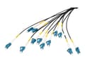 Miniatyrbilde 1 av 5: DIGITUS - Utbruddskabel - LC/UPC-enkeltmodus (P) til LC/UPC-enkeltmodus (P) - 75 m - fiberoptisk - 9 / 125 micron - G.657.A1/OS2 - halogenfri, innend
