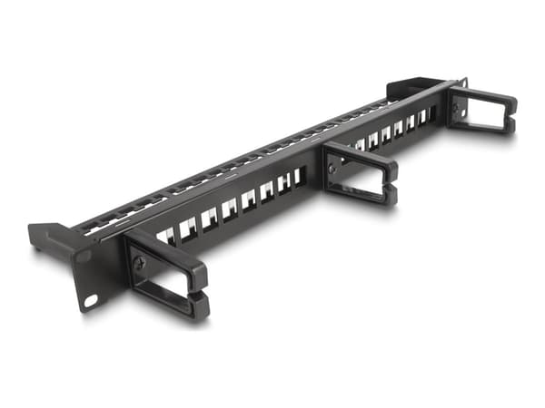 Delock - Koblingspanel - with 3 hooks, strain relief - skapmonterbar - svart - 1U - 19" - 16 porter