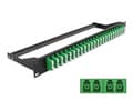 Miniatyrbilde 2 av 2: Delock - Koblingspanel - rackmonterbar - LC Quad SM x 24 - svart, grønn - 1U - 19"