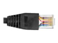 Miniatyrbilde 3 av 5: Delock - Seriell adapter - USB (hann) til RJ-45 (hann) - 25 cm - USB / USB 2.0 / EIA-232 - svart