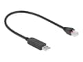 Miniatyrbilde 2 av 5: Delock - Seriell adapter - USB (hann) til RJ-45 (hann) - 25 cm - USB / USB 2.0 / EIA-232 - svart