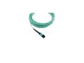 Miniatyrbild 4 av 5: BlueOptics F5-UPG-QSFP+-10M-2-BO, 10 m, LC/APC, OM3, MTP, 4x LC/LC