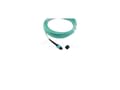 Miniatyrbilde 3 av 5: BlueOptics CBL-NTWK-0892-OPF100L-BO, 10 m, LC/APC, OM3, MPO, MPO
