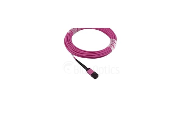BlueOptics AV25-BO, 5m, LC/APC, OM4, MPO, MPO