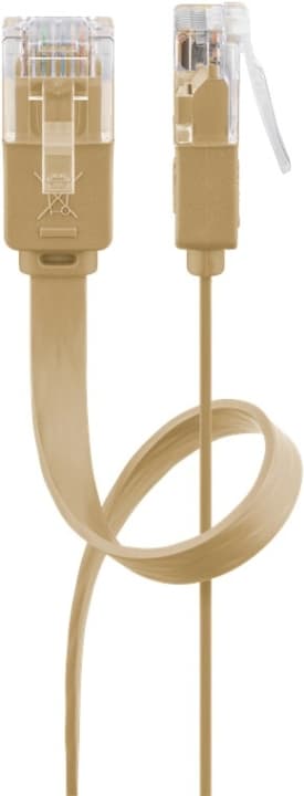 Goobay CAT 6 flad netværkskabel, U/UTP, lysebrun kobberleder (CU), 0.5 m