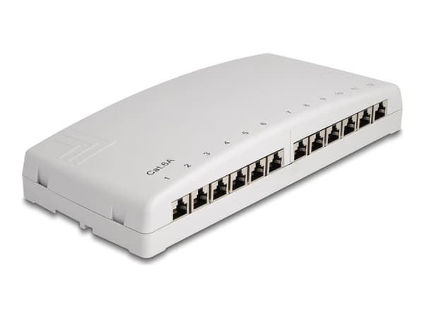 Delock - Koblingspanel - veggmonterbar, monterbar under bordet - CAT 6a - STP - RJ-45 X 12, LSA X 12 - grå Grå