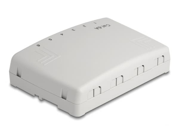 Delock - Patch-panel - väggmontering, kan monteras under bord - CAT 6a - RJ-45 X 6, LSA X 6 - grå