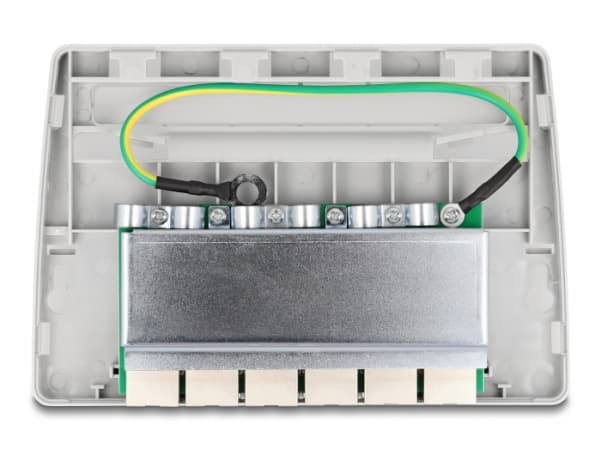 Delock - Patch-panel - väggmontering, kan monteras under bord - CAT 6a - RJ-45 X 6, LSA X 6 - grå