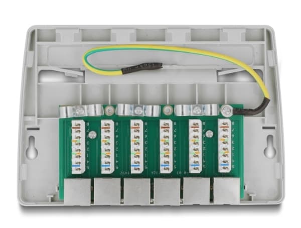 Delock - Patch-panel - väggmontering, kan monteras under bord - CAT 6a - RJ-45 X 6, LSA X 6 - grå