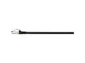 Pikkukuva 2 / 5: Renkforce RF-5771526, 0.5 m, Cat6a, S/FTP (S-STP), RJ-45, RJ-45