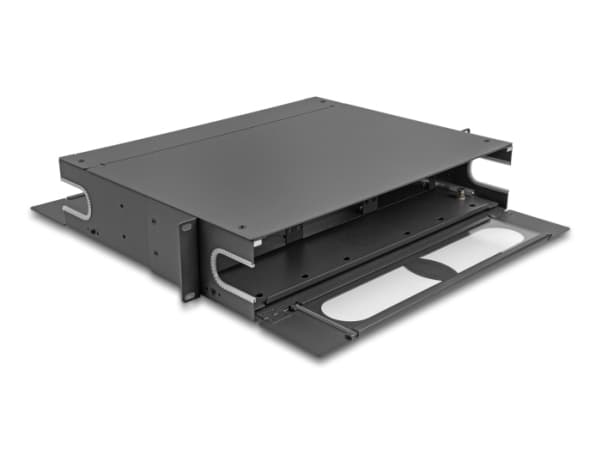 Delock - Pluggbord (blankt) - with viewing window unequipped - SC X 48, LC X 96 - mørk grå - 2U - 19"