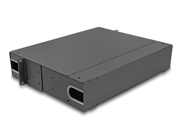 Delock - Pluggbord (blankt) - with viewing window unequipped - SC X 48, LC X 96 - mørk grå - 2U - 19"
