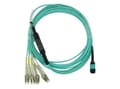 Pikkukuva 2 / 2: Yhteensopiva Fortinet FG-TRAN-QSFP-4XSFP-1 BlueOptics kuituoptiikan katkaisukaapeli, MPO/UPC, 4xDuplex LC/UPC, 1 metri, multimode G50/125µm, OM3, mer