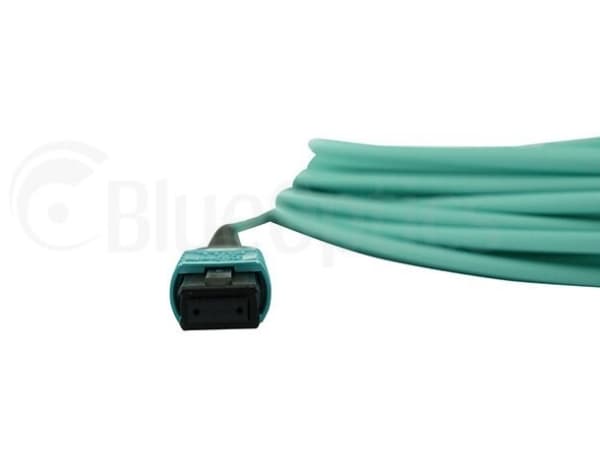 BlueOptics 00VX005-BN-BO, 30 m, MTP, MTP, MTP, Hanstik/Hanstik