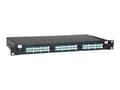 Miniatyrbilde 3 av 5: Eaton Tripp Lite Series 36-Port LC/LC Rackmount Fiber Enclosure Feed Through Patch Panel 1U - Koblingspanel - rackmonterbar - LC x 36 - svart - 1U -