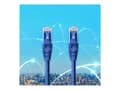 Miniatyrbild 5 av 5: Qoltec - Patch-kabel - RJ-45 (hane) till RJ-45 (hane) - 1.5 m - UTP - CAT 6 - hakfri, formpressad - blå