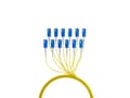 Pikkukuva 3 / 5: EFB Elektronik Trunkkabel U-DQ ZN BH OS2 12E 1x12 SC-SC 60m Dca LSZH - Kaapeli - 60 m (O8341S60OS2)
