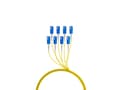 Miniatyrbild 3 av 5: EFB Elektronik Trunkkabel U-DQ ZN BH OS2 8E 1x8 SC-SC 100m Dca LSZH - Kabel - 100 m (O8321S100OS2)